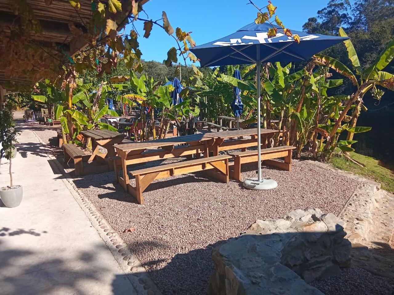 The Riverdeck Accommodation And Backpackers クニスナ エクステリア 写真